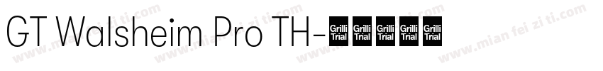 GT Walsheim Pro TH字体转换
